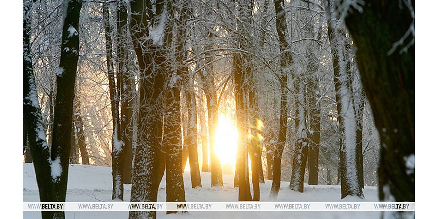 Местами гололед, по юго-востоку - до +9°С. Какой будет погода в Беларуси сегодня