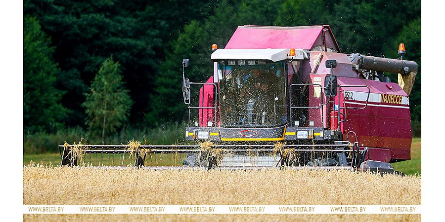 Белорусские аграрии намолотили 9 млн тонн зерна 