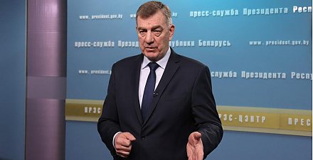 В Беларуси хотят вернуть в оборот 1 млн га занятых древесно-кустарниковой растительностью земель