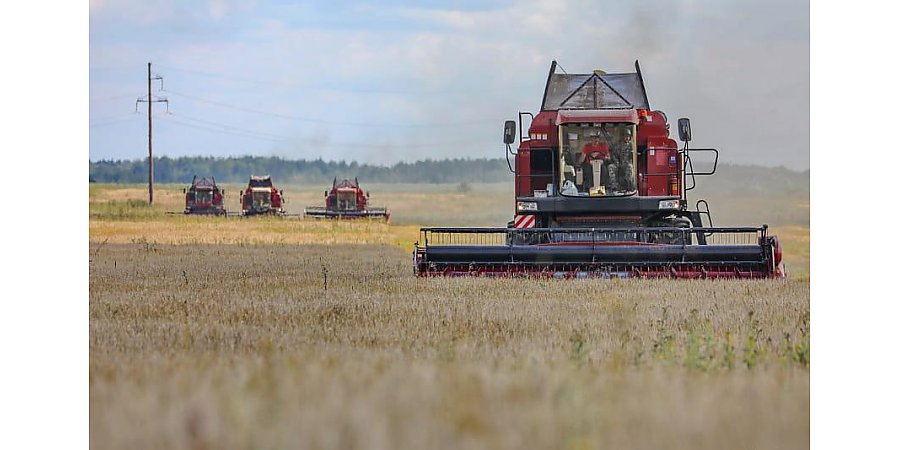Белорусские аграрии намолотили более 5,8 млн тонн зерна