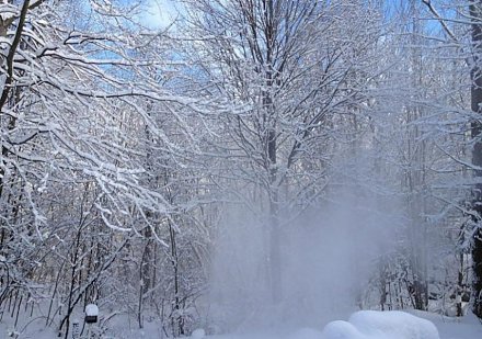 На Гродненщину надвигаются метели и снегопад. Когда ждать?