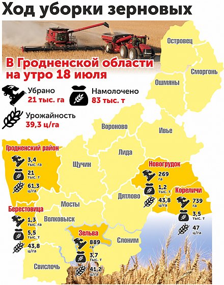 Ход уборки зерновых на Гродненщинне. Инфографика