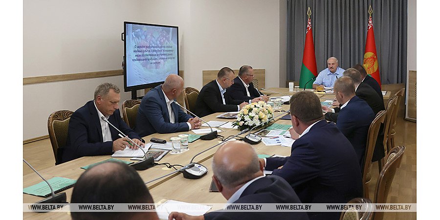 Александр Лукашенко взялся за развитие садоводства. Какие задачи стоят перед правительством и аграриями