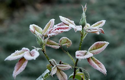 Последние теплые дни: резкое похолодание и снег. Погода 14-16 ноября