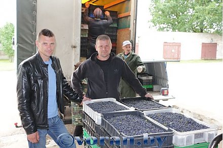 Прибыльный и вкусный запас