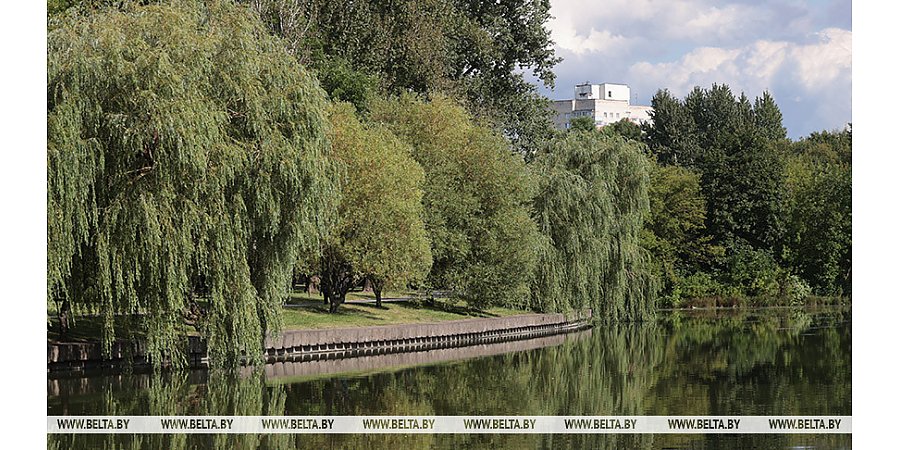 До +29°С и в основном без осадков. Какой будет погода в первый день осени 