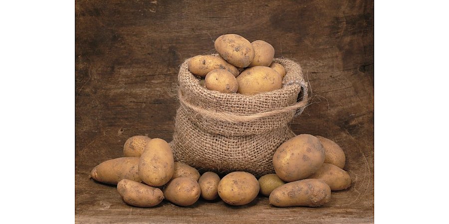 Как правильно хранить картофель?