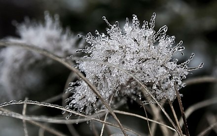 До +14°C. Где в Беларуси будет теплее всего в субботу