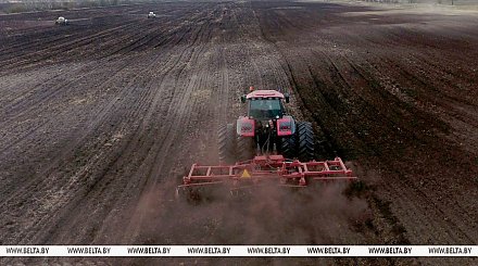 В Беларуси завершили посадку картофеля
