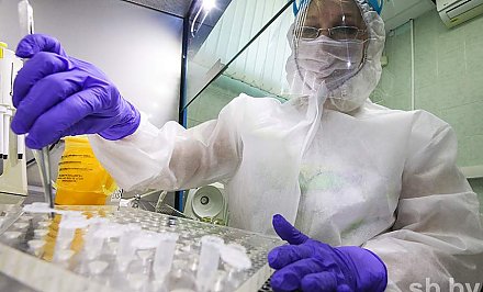 Эпидемиолог: 60% новых случаев коронавируса в Беларуси — контакты первого уровня