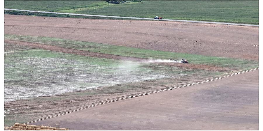 В Беларуси намолочено более 24 тыс. тонн гречихи