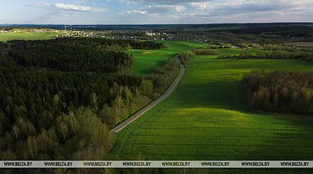 Ограничения на посещение лесов действуют в 18 районах Беларуси