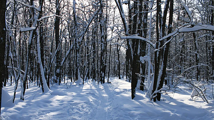 Народные приметы февраля 2026 года: что приготовил последний месяц зимы