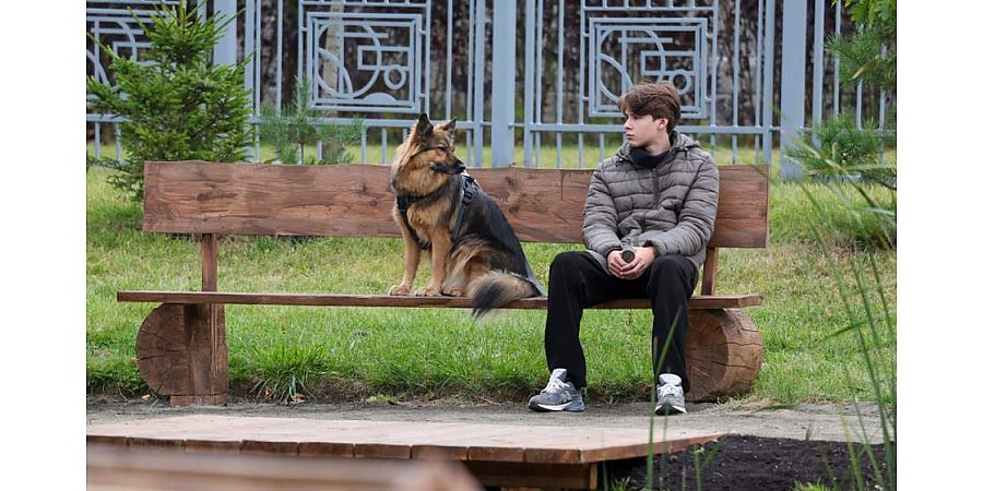 Налог на собак: каких изменений ждать в 2026 году?