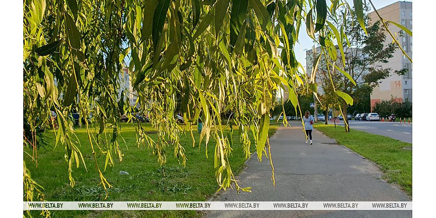 Жаркая и без осадков погода ожидается сегодня в Беларуси