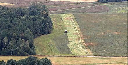 Зерновые, травы и картофель: в Минсельхозпроде рассказали о ситуации на полях