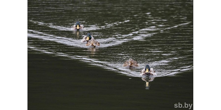 Погода в выходные: кратковременные дожди, местами грозы и до +30 °С