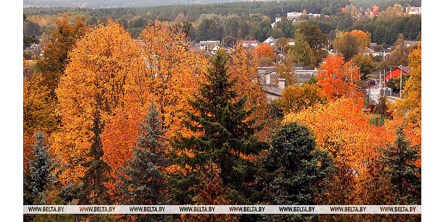 Облачно, временами дожди. Какой будет погода в Беларуси сегодня