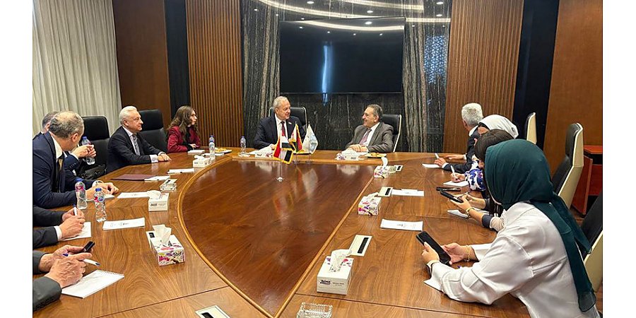 Торговля, инвестиции, бизнес. В каких сферах Беларусь и Египет заинтересованы развивать сотрудничество?