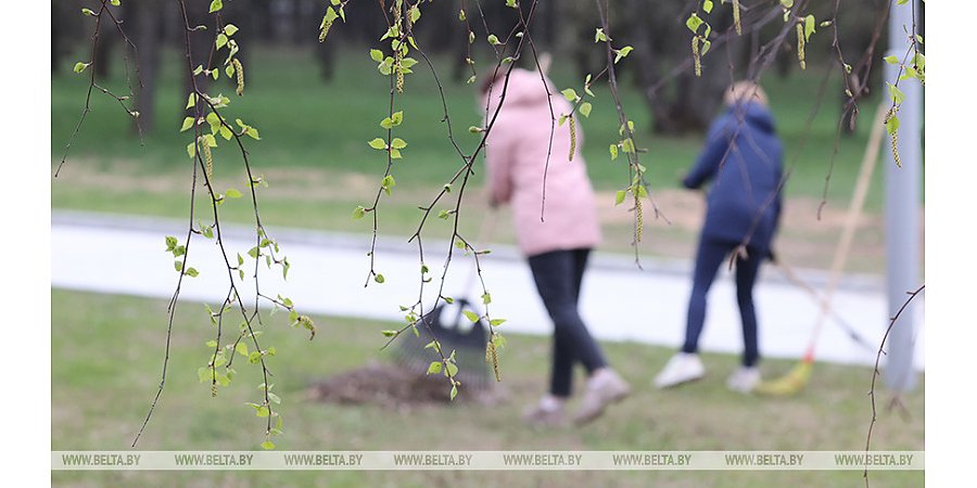 Республиканский субботник проходит сегодня в Беларуси