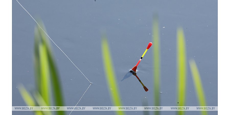 В Беларуси с 1 октября будет введен запрет на лов всех видов рыб на зимовальных ямах