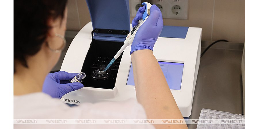 Минздрав: штамм коронавируса "пирола" в Беларуси пока не выявлен