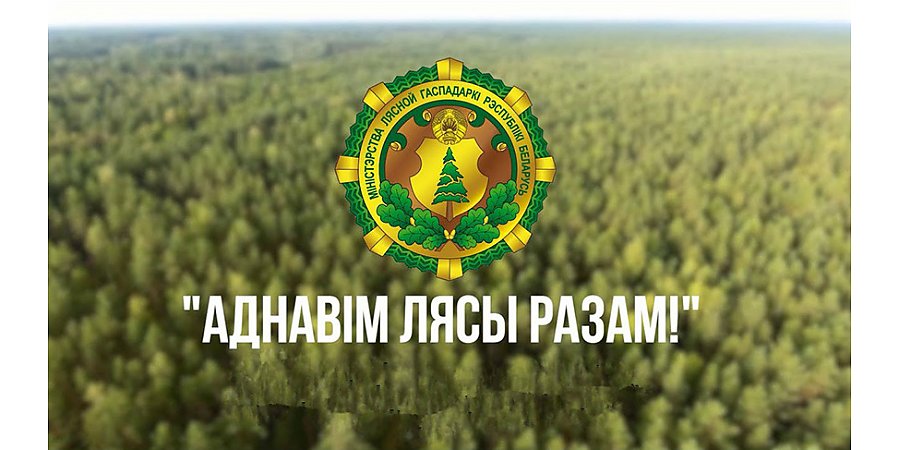 Акция "Дай лесу новае жыццё!" стартует в Беларуси 21 марта