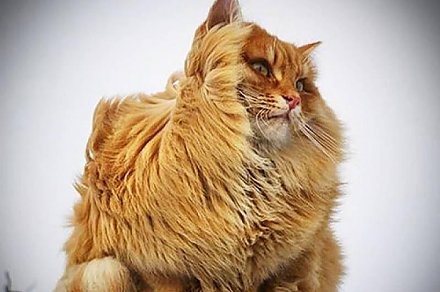 Порывистый ветер и похолодание прогнозируются в Беларуси 16 марта