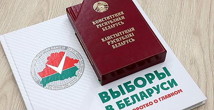 Центр общественного наблюдения за выборами начнет работу 21 января