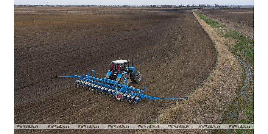 Посевная, стабфонды, животноводство. Александр Лукашенко расставил акценты для аграриев