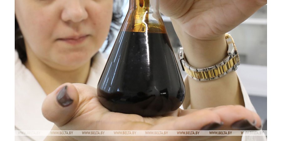 Подписание соглашения о перевалке белорусских нефтепродуктов в портах РФ перенесли из-за внутригосударственных процедур