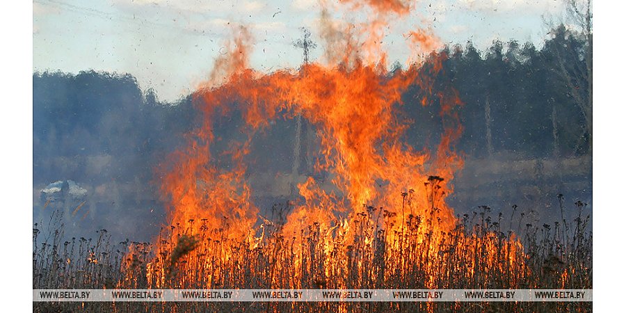 В Европе полыхают национальные парки и заповедники