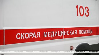В Брянской области при атаке на грузовой поезд Брянск - Гомель погиб машинист