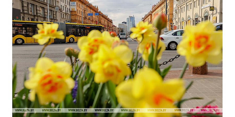 Оранжевый уровень опасности объявлен в Беларуси на 6 мая из-за сильного ветра