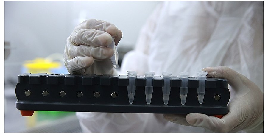 ВОЗ: вероятность повторного заражения омикроном может быть выше, чем другими штаммами