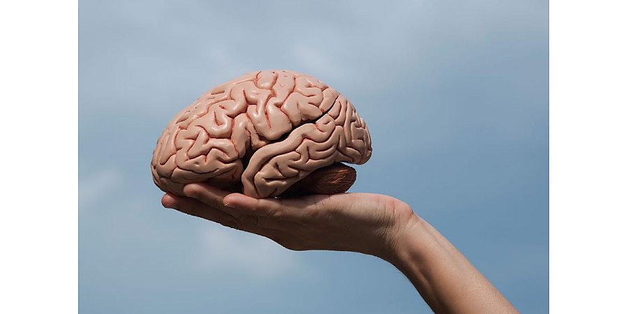 Топ-5 самых опасных продуктов для мозга