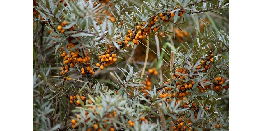 Народные приметы на 25 августа 2025 года: что можно и нельзя делать в этот день