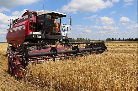 В Вороновском районе жатва идет уверенно