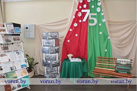 В Вороново отметили День единения народов Беларуси и России