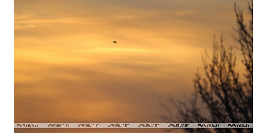 Великобритания в коалиции с Латвией передаст Украине тысячи беспилотников