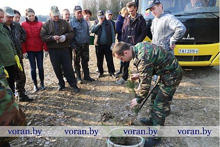 «Неделя леса» открыта! (Фото, +Видео)