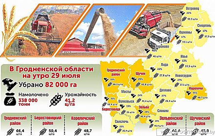 Сколько гектаров урожая убрано в Гродненской области на 29 июля (инфографика)