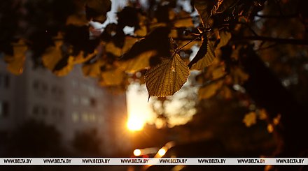 Тепло и дождливо будет в Беларуси 3 ноября