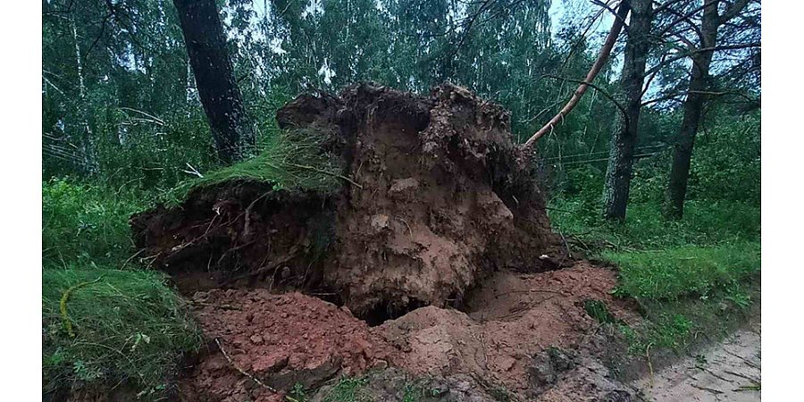 Грозы и сильный ветер вызвали перебои с электричеством в 788 населенных пунктах Беларуси