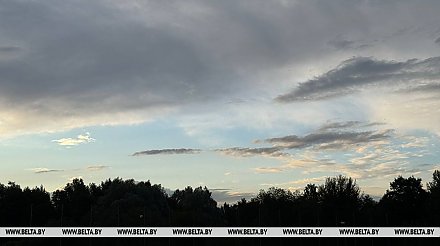 Дожди и грозы по западу Беларуси ожидаются 4 августа