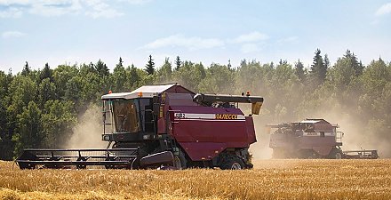 "Вы трудились с полной самоотдачей". Александр Лукашенко поздравил аграриев Минской и Гродненской областей