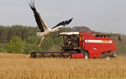 400 тысяч тонн зерна намолотили на утро 27 июля аграрии области