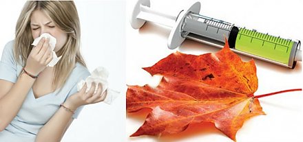 Грипп дешевле предупредить