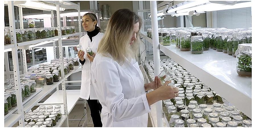 В Совете молодых ученых НАН рассказали о том, что приводит молодежь в науку