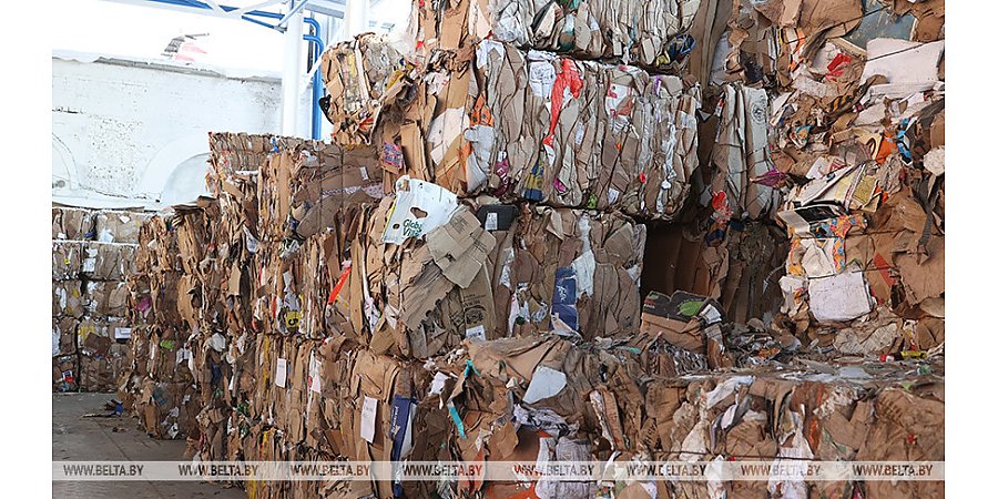 Белкоопсоюз в 2025 году закупил у населения вторсырья на 200 млн бел. руб. 